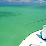 orlando fishing, orlando fishing charters, orlando fishing trip, orlando fishing guide