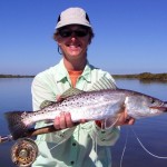 spotted seatrout, speckled trout, seatrout