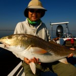 big redfish on fly