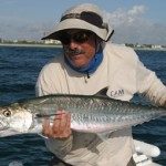 king mackerel