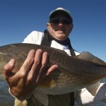 Big redfish, banana river lagoon, florida