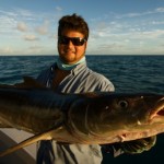 cobia