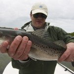 spotted seatrout from the mosquito lagoon