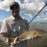 redfish, banana river lagoon