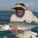 King Mackerel, cocoa beach, fl