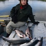 silver salmon catch, goodnews river alaska