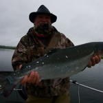 silver salmon