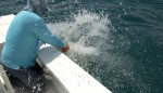 Orlando Saltwater Tarpon Fishing Report