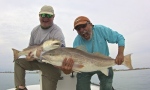 port canaveral fishing report