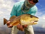 Kayak Fly Fishing Mosquito Lagoon redfish