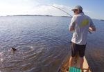 sw florida fishing report