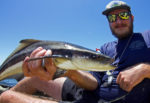 pine island sound fishing