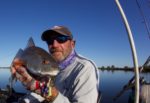 ozello/mosquito lagoon fishing report