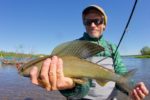 alagnak river fishing report