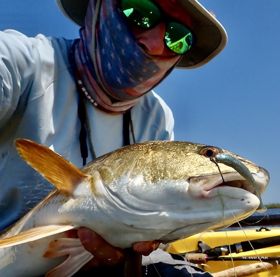 redfish Archives - the spotted tail