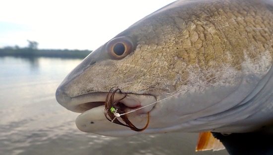 6 Tips for Tarpon: Best Fishing Leaders, Knots and Lures - The Intrepid  Angler
