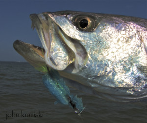 successful seatrout flies